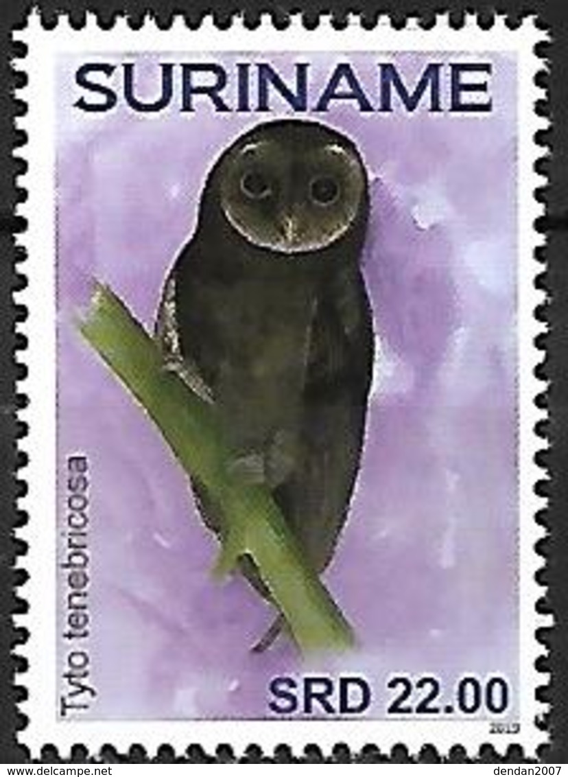 Suriname - MNH - 2019 -  Greater Sooty Owl    Tyto Tenebricosa - Owls