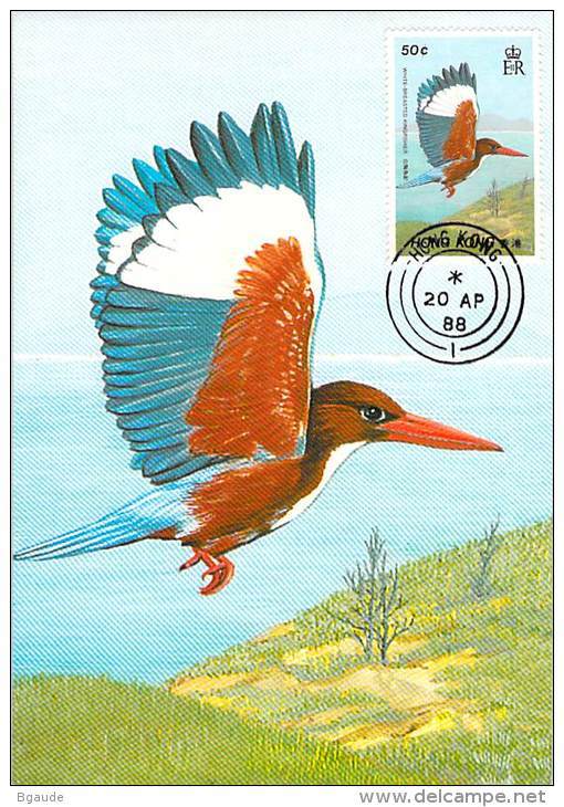 HONG-KONG CARTE MAXIMUM NUM. YVERT 528 FAUNE OISEAU PROTECTION DE LA NATURE - Cartoline Maximum