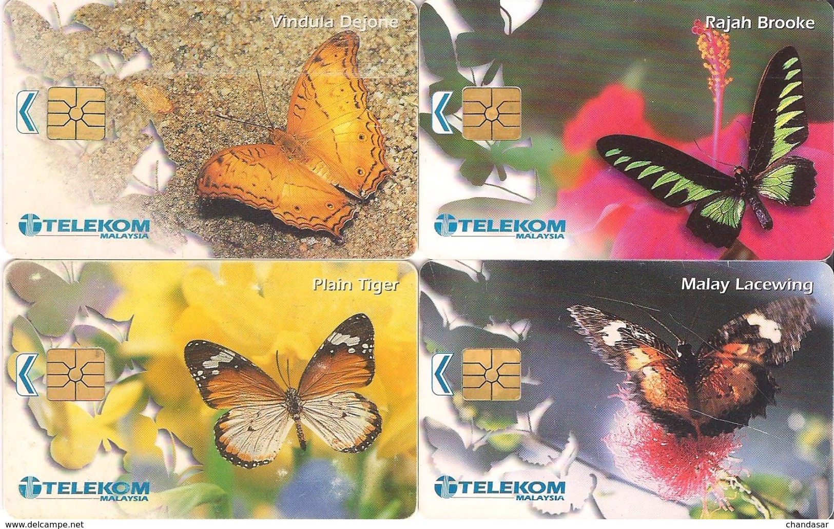 Malaysia, Chip Phone Card, Butterflies, Larger Chip, 4-Cards (RM 5,10,10& 50) - Malaysia