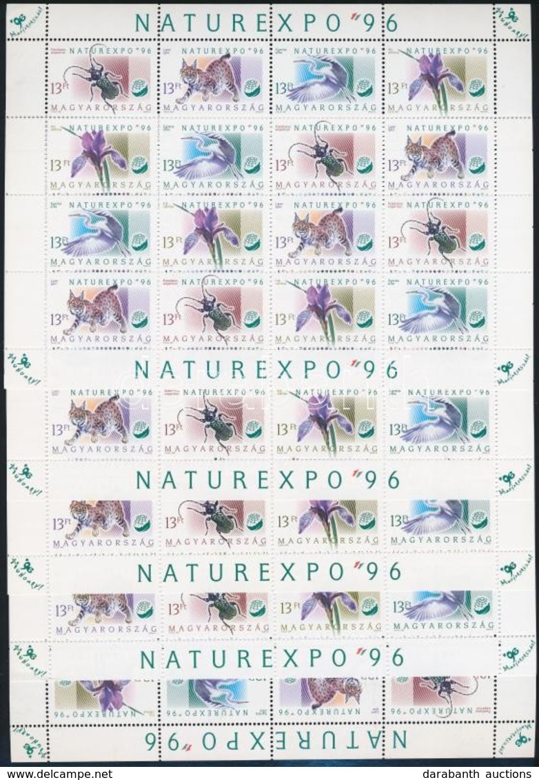 ** 1996 NATUREXPO 5 Db Teljes ív (12.500) - Andere & Zonder Classificatie