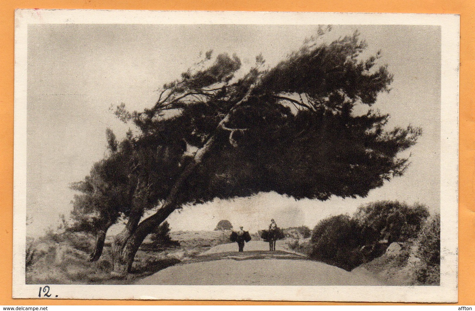 Rhodes Rodi Greece 1930 Postcard - Greece