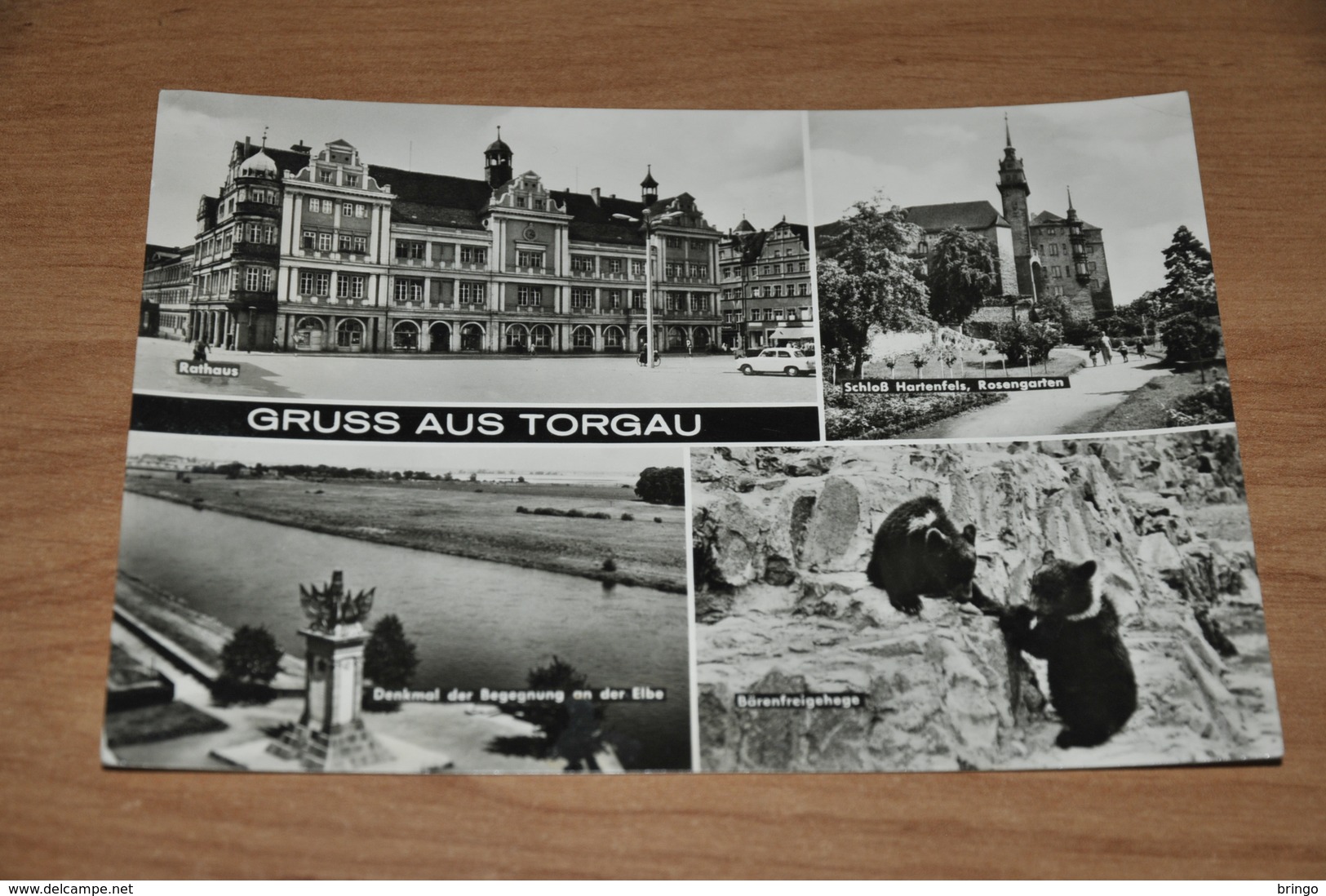 11159-   GRUSS AUS TORGAU - Torgau