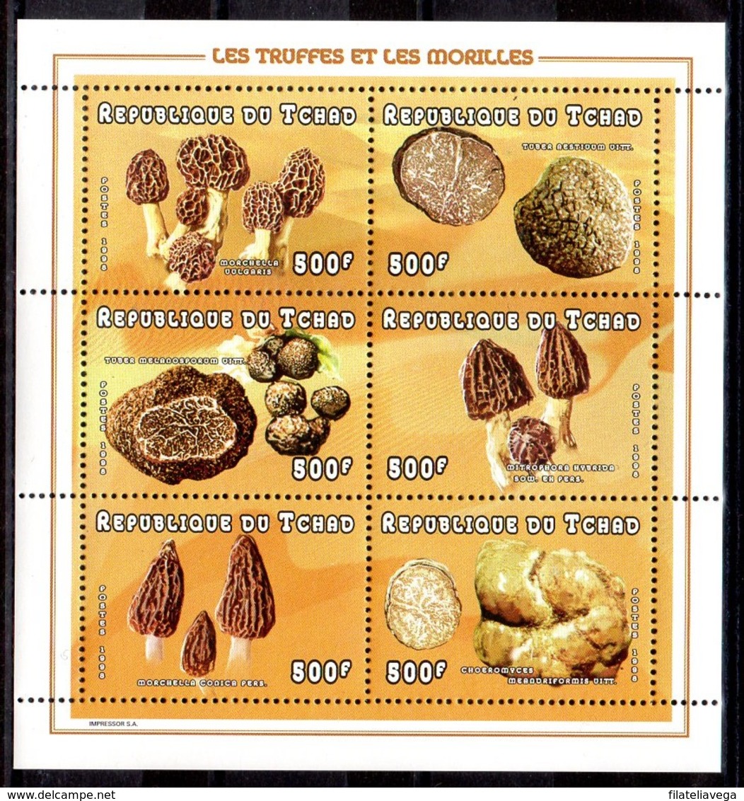 Serie De Tchad Nº Yvert 967/72 ** SETAS (MUSHROOMS) - Hongos