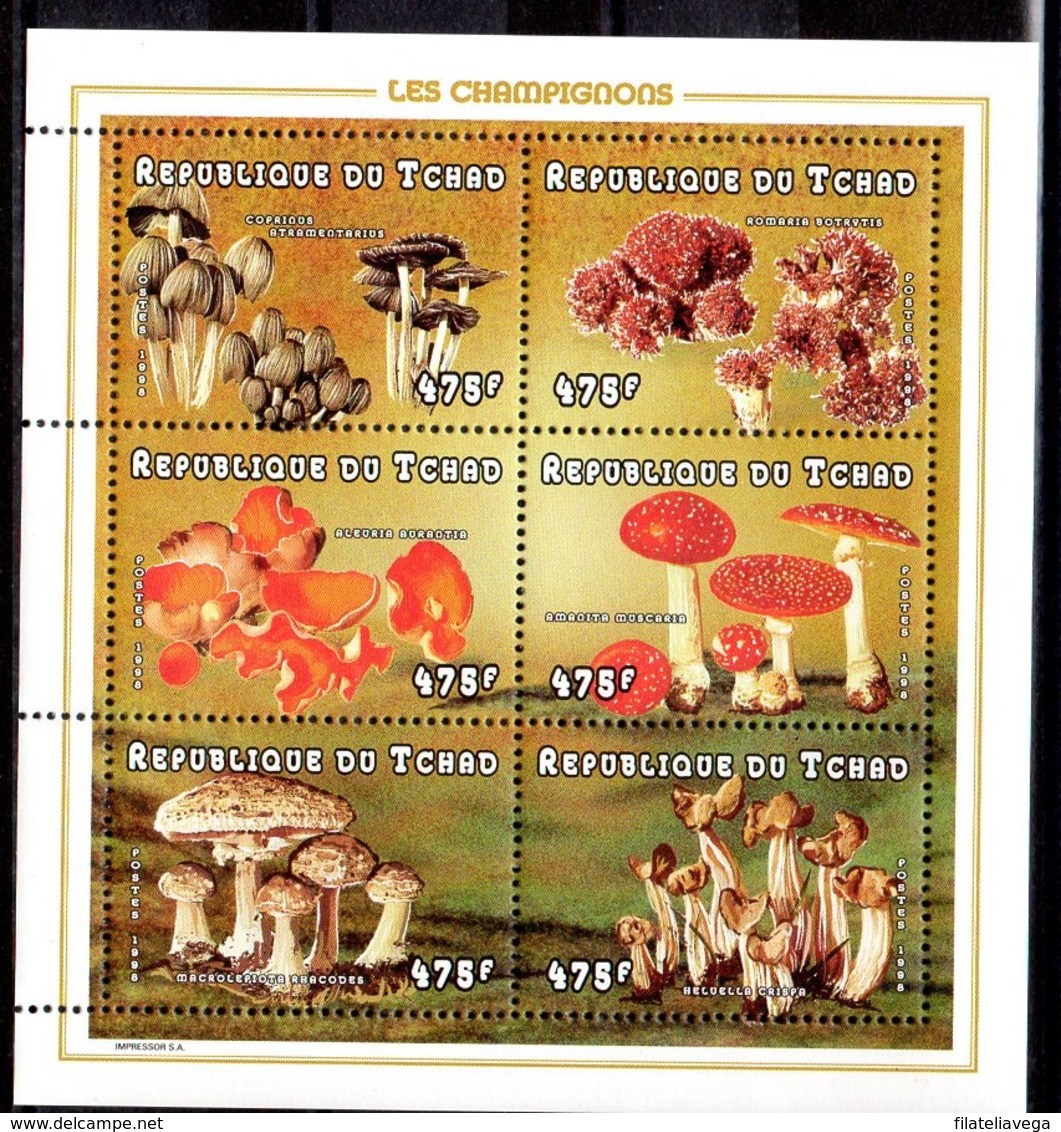 Serie De Tchad Nº Yvert 973/78 ** SETAS (MUSHROOMS) - Hongos