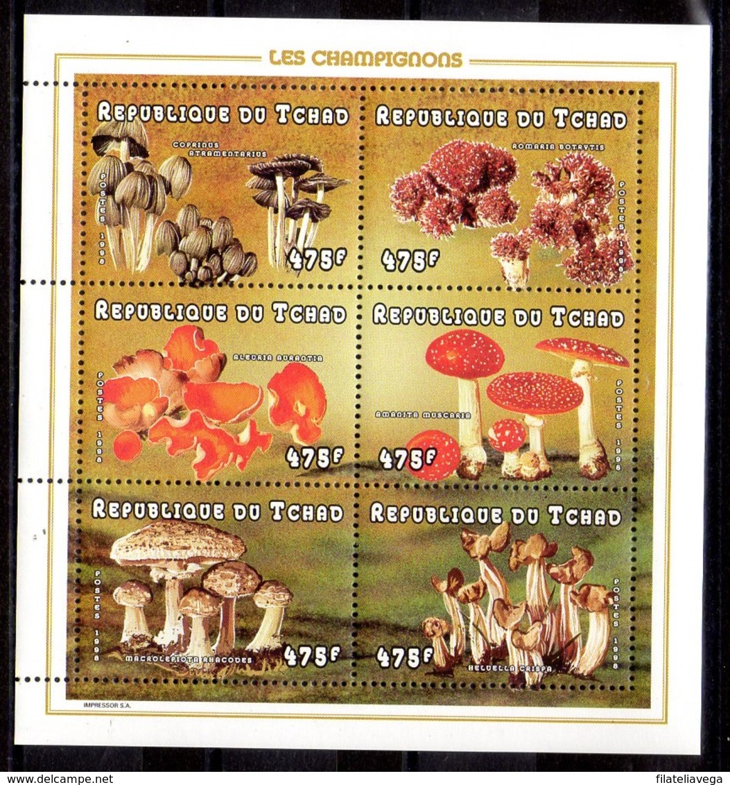 Serie De Tchad Nº Yvert 973/78 ** SETAS (MUSHROOMS) - Hongos