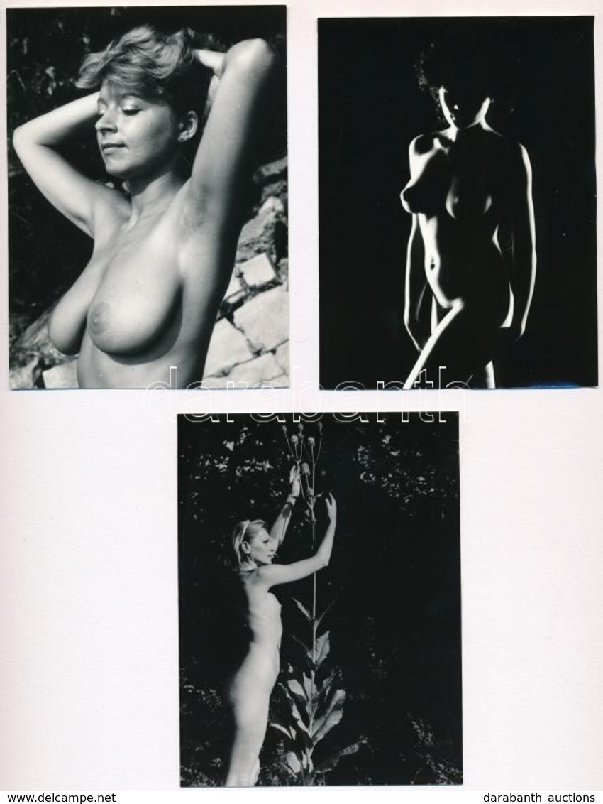 Cca 1978 Bájkereső, Szolidan Erotikus Felvételek, 4 Db Vintage Negatív (24x36 Mm) + 5 Db Vintage Fotó (9x12 Cm), (a Nega - Altri & Non Classificati