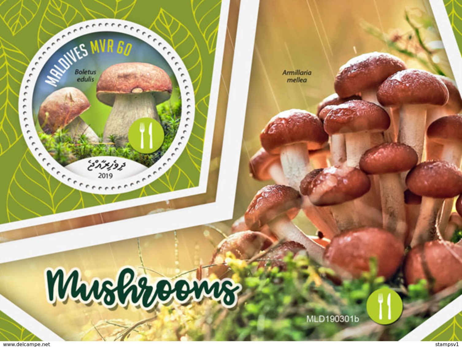 Maldives. 2019 Mushrooms. (0301b)  OFFICIAL ISSUE - Funghi