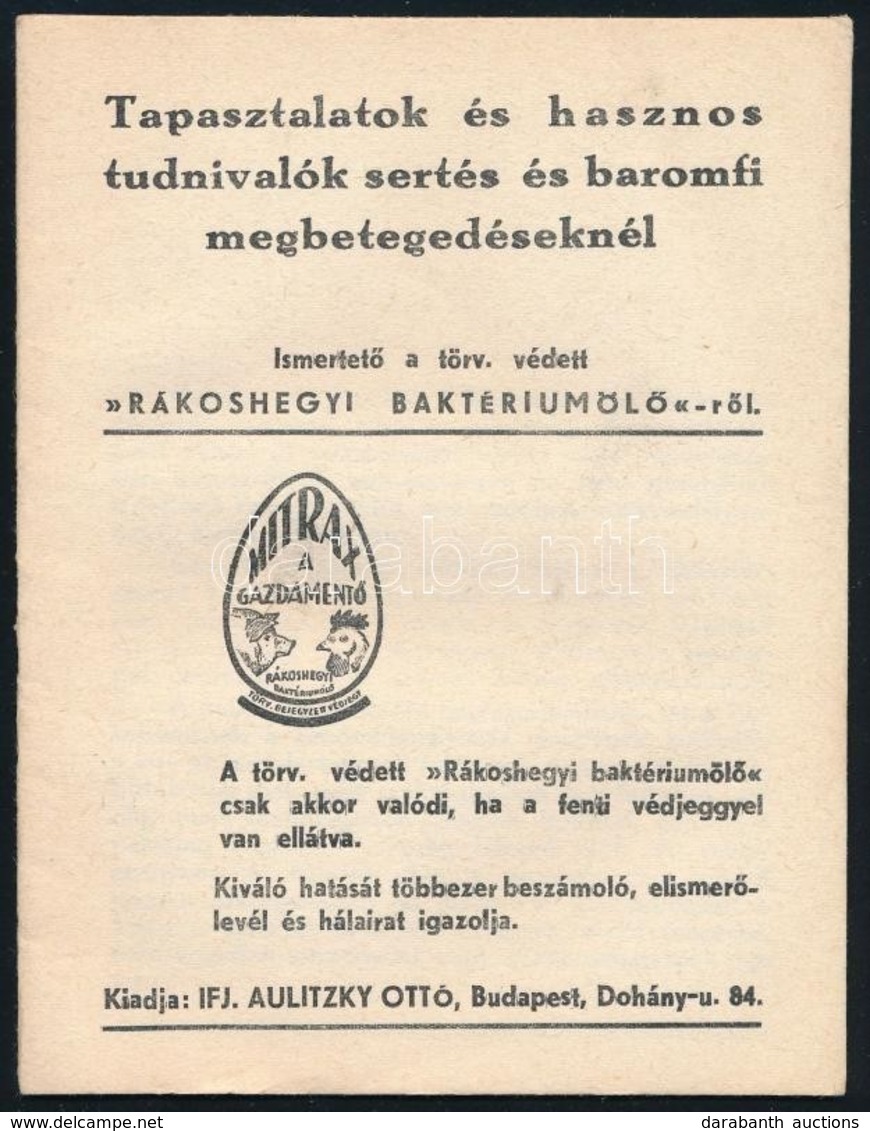 Cca 1930 Tapasztalatok és Hasznos Tudnivalók Sertés és Baromfi Megbetegedéseknél A Rákoshegyi Baktériumölőről, 15p - Non Classificati