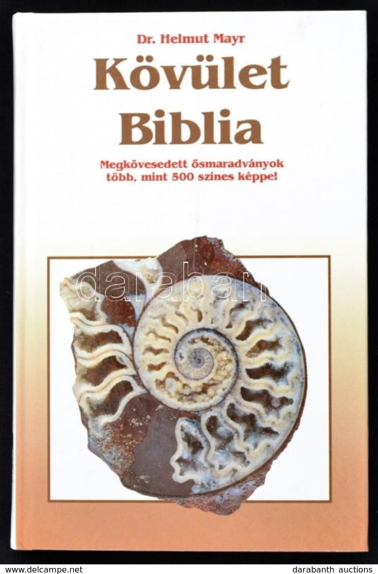 Mayr, Dr. Helmut: Kövület Biblia. Megkövesedett ősmaradványok Több, Mint 500 Színes Képpel. H.n., Kőország. Kiadói Karto - Non Classificati