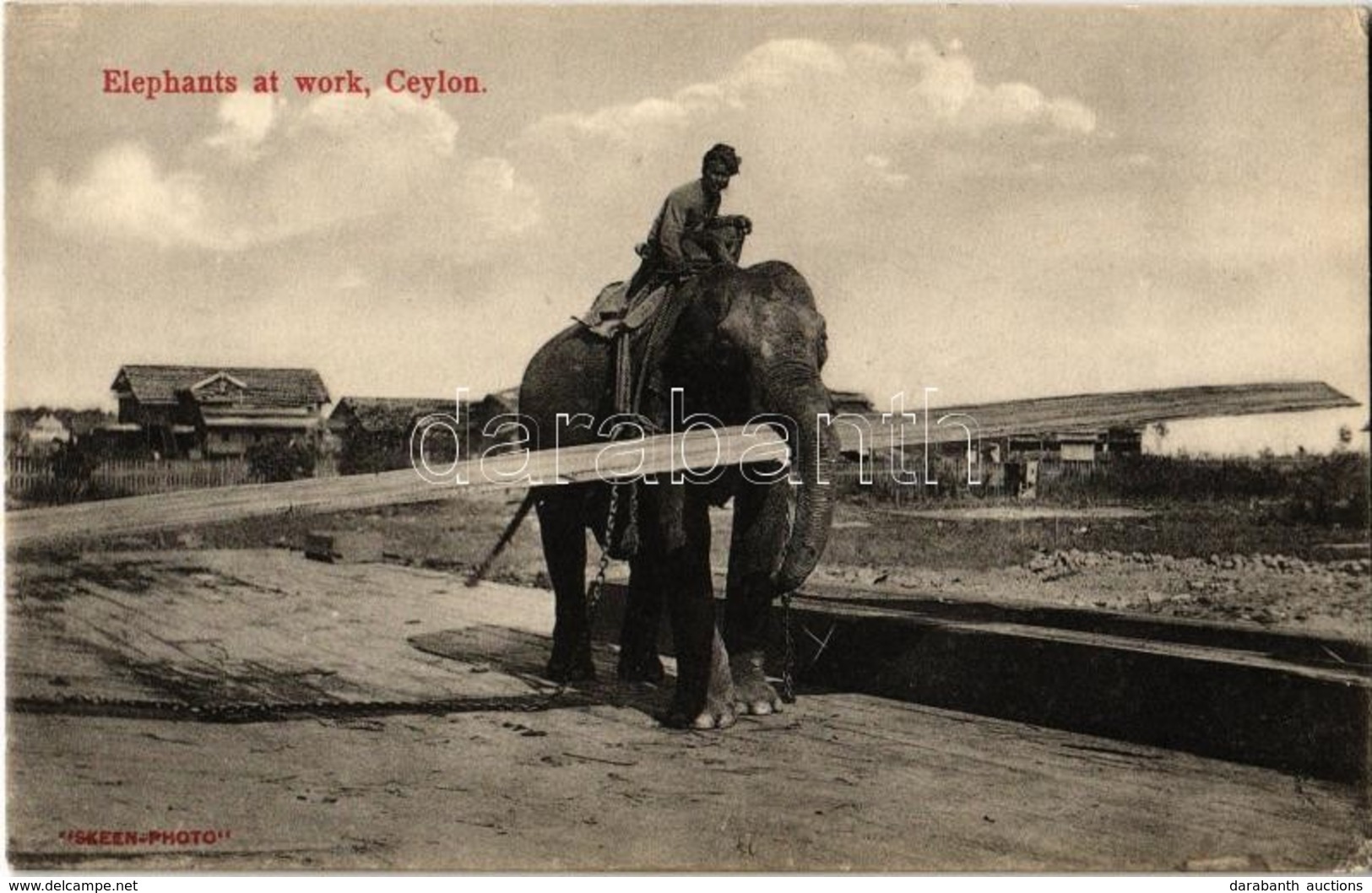 ** T2 Ceylon, Elephants At Wotk - Non Classés