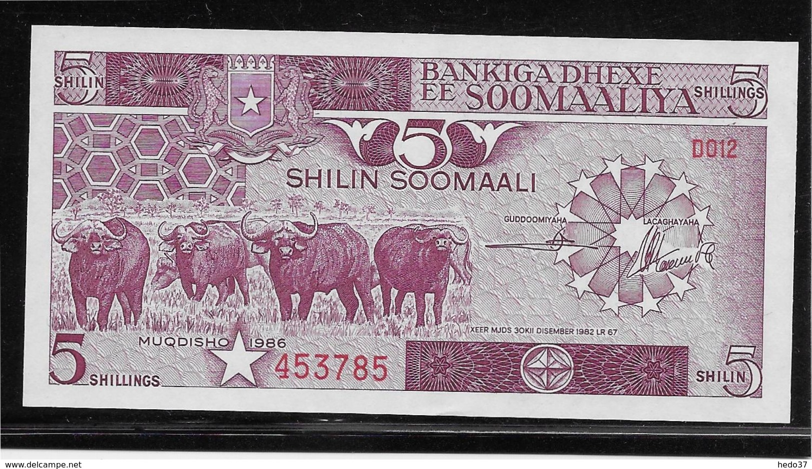 Somalie - 5 Shilin - Pick N°31b - NEUF - Somalië