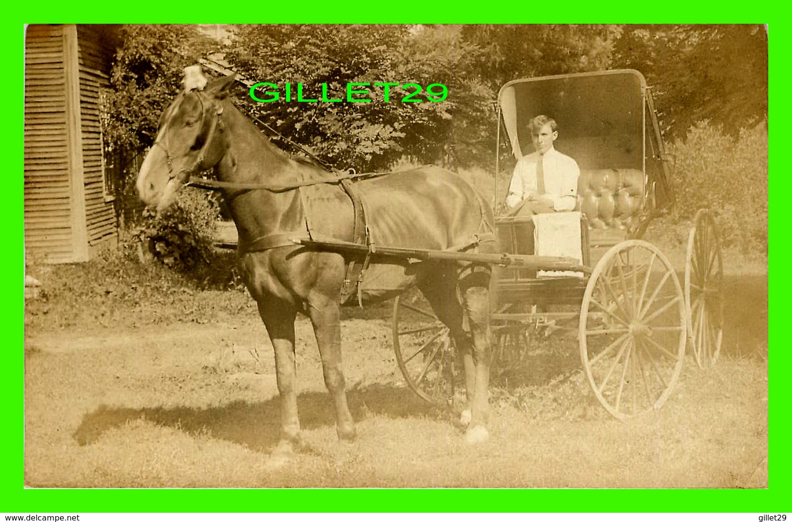 CHEVAL ATTELAGE AVEC UN VIEILLE VOITURE -  CARTE-PHOTO - - Chevaux