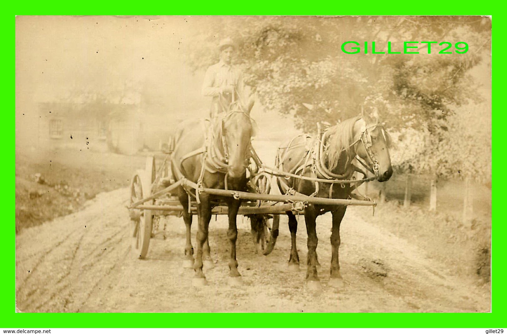 CHEVAUX  ATTELAGE AVEC UN VIEILLE VOITURE -  CARTE-PHOTO - - Chevaux