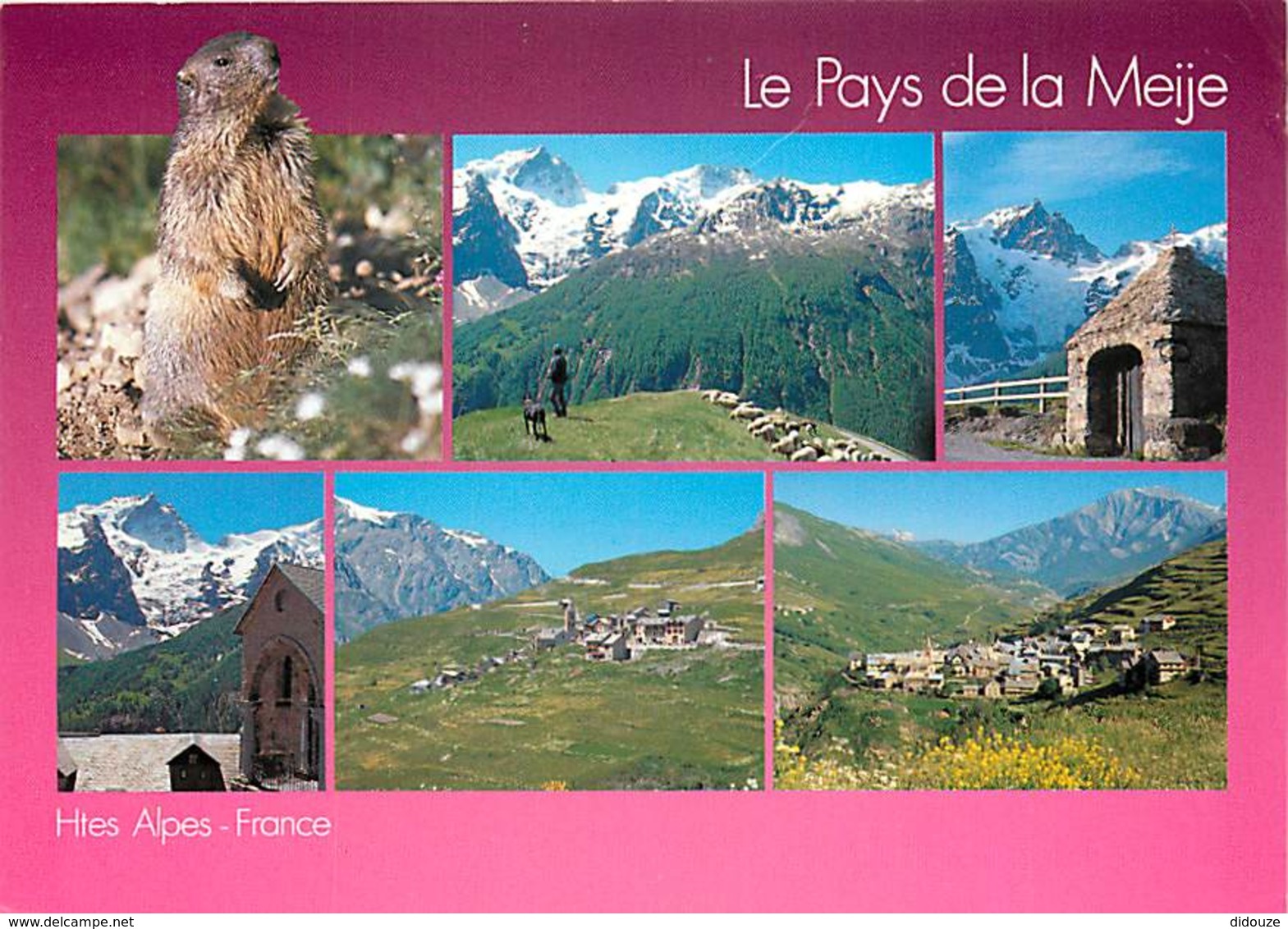 05 - Hautes Alpes - Massif De La Meije - Multivues - Marmottes - Voir Scans Recto-Verso - Autres & Non Classés