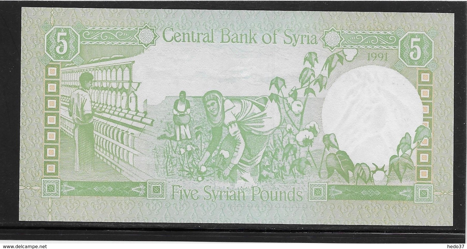 Syrie - 5 Pounds - Pick N°100e - NEUF - Syrien