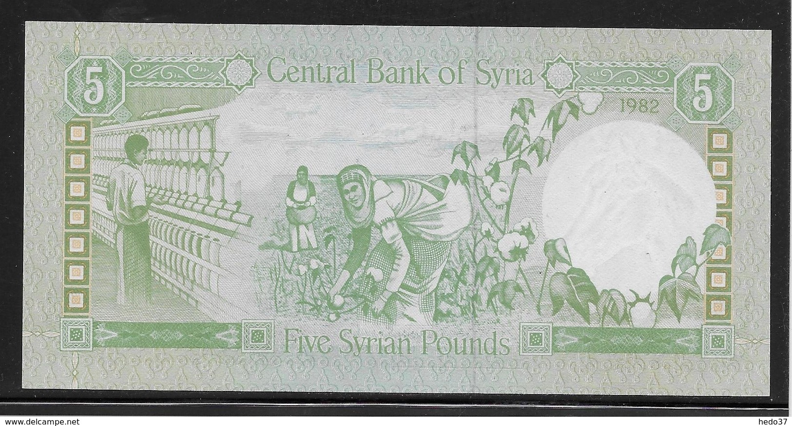 Syrie - 5 Pounds - Pick N°100c - NEUF - Syrie