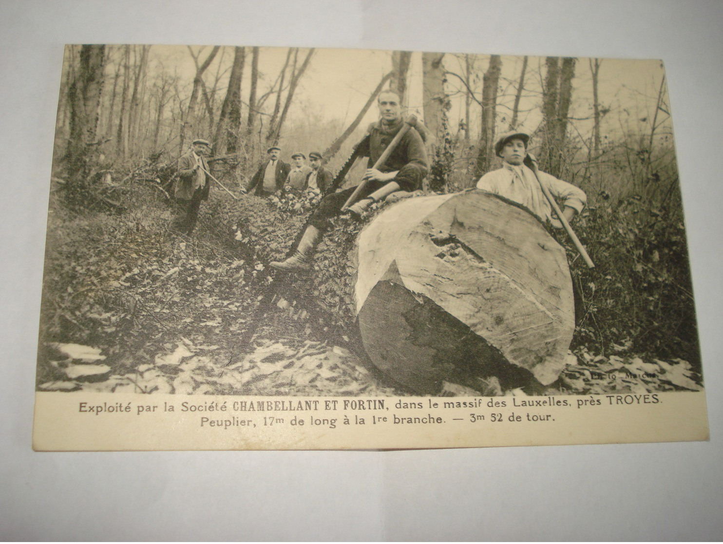 RARE CARTE SOCIETE CHAMBELLANT ET FORTIN MASSIF DES LAUXELLES PRES TROYES FORESTIER BUCHERON BOIS SAINTE SAVINE - Autres & Non Classés