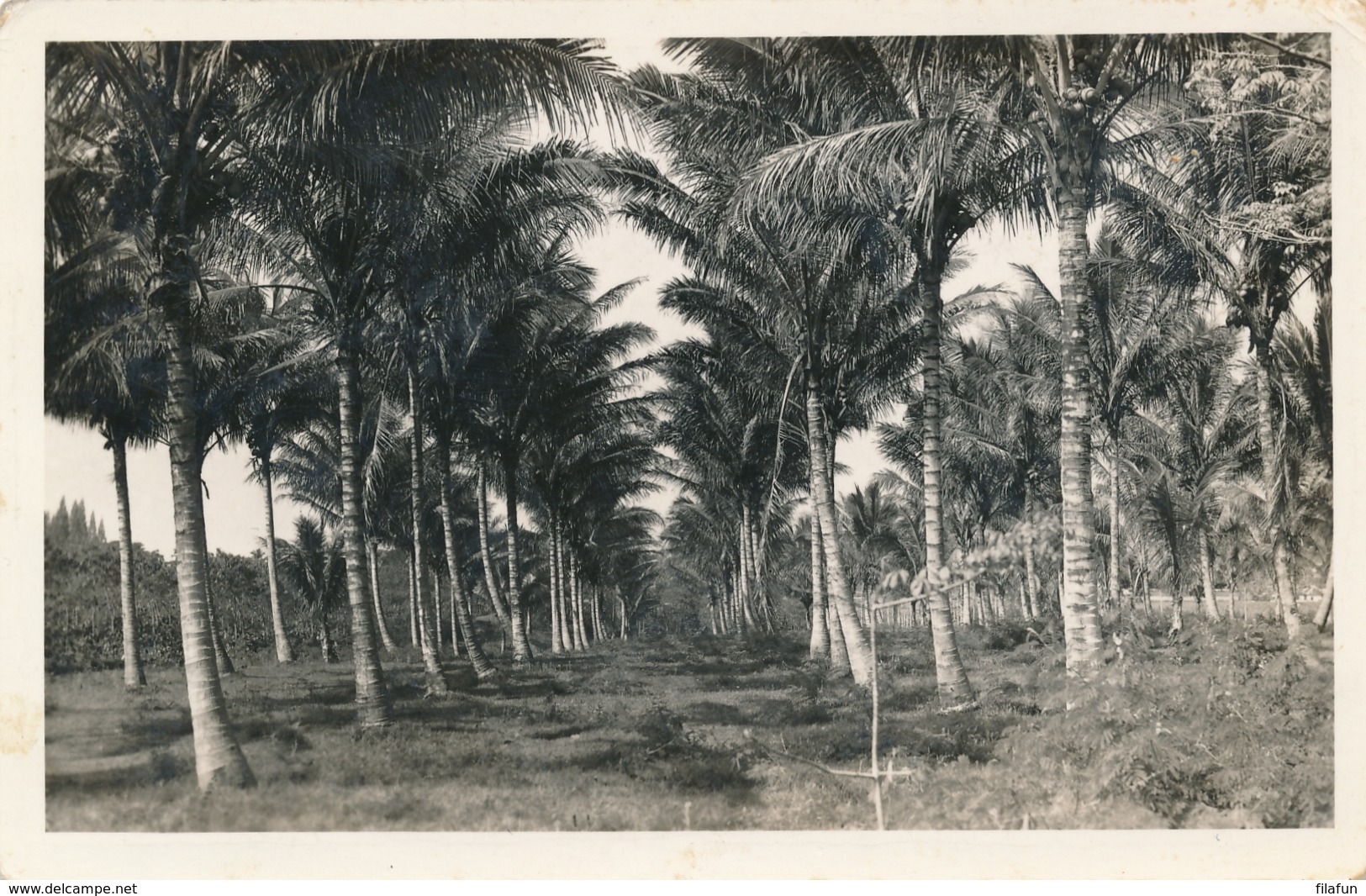 Nederlands Indië - 1939 - 3,5 Cent Karbouwen Op Fotokaart Van LB MALANG Naar Den Haag - Nederlands-Indië