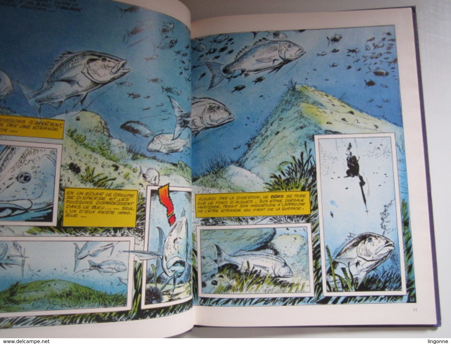 1980 Bande Dessinée BD La Pêche Sous-marine Avec JEAN-BAPTISTE ESCLAPEZ - Autres & Non Classés