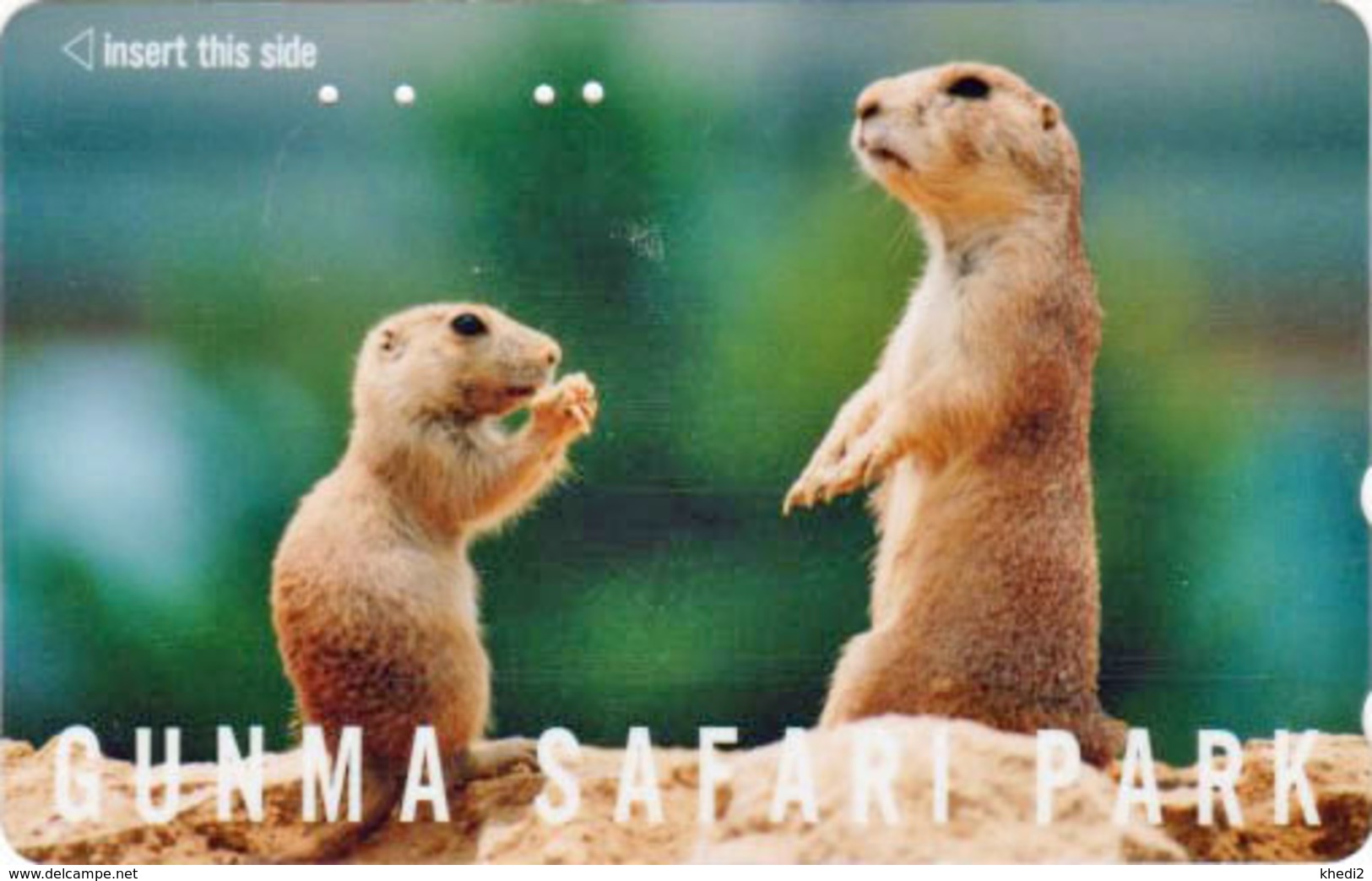 RARE Télécarte Japon / 110-011 - ANIMAL MARMOTTE ** Série GUNMA SAFARI PARK ** - MARMOT PRAIRIE DOG Japan Phonecard 196 - Jungle