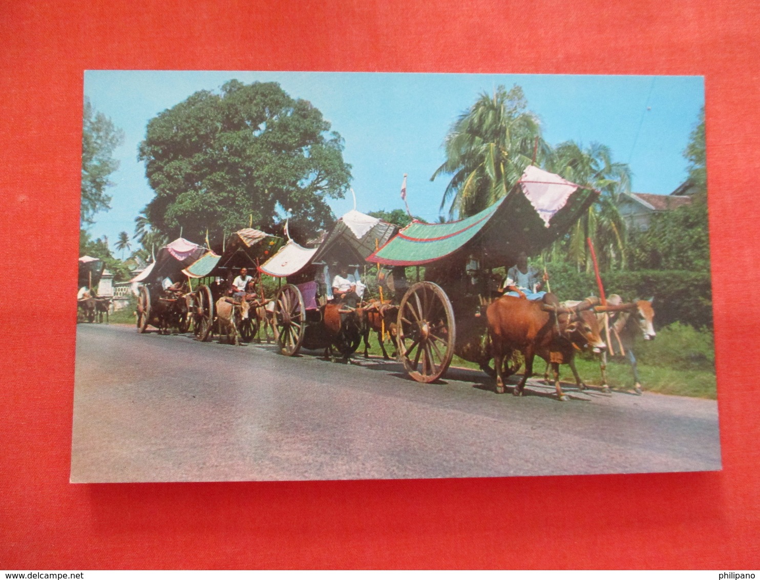 Bullock Carts  Malacca       Ref  3476 - Malaysia