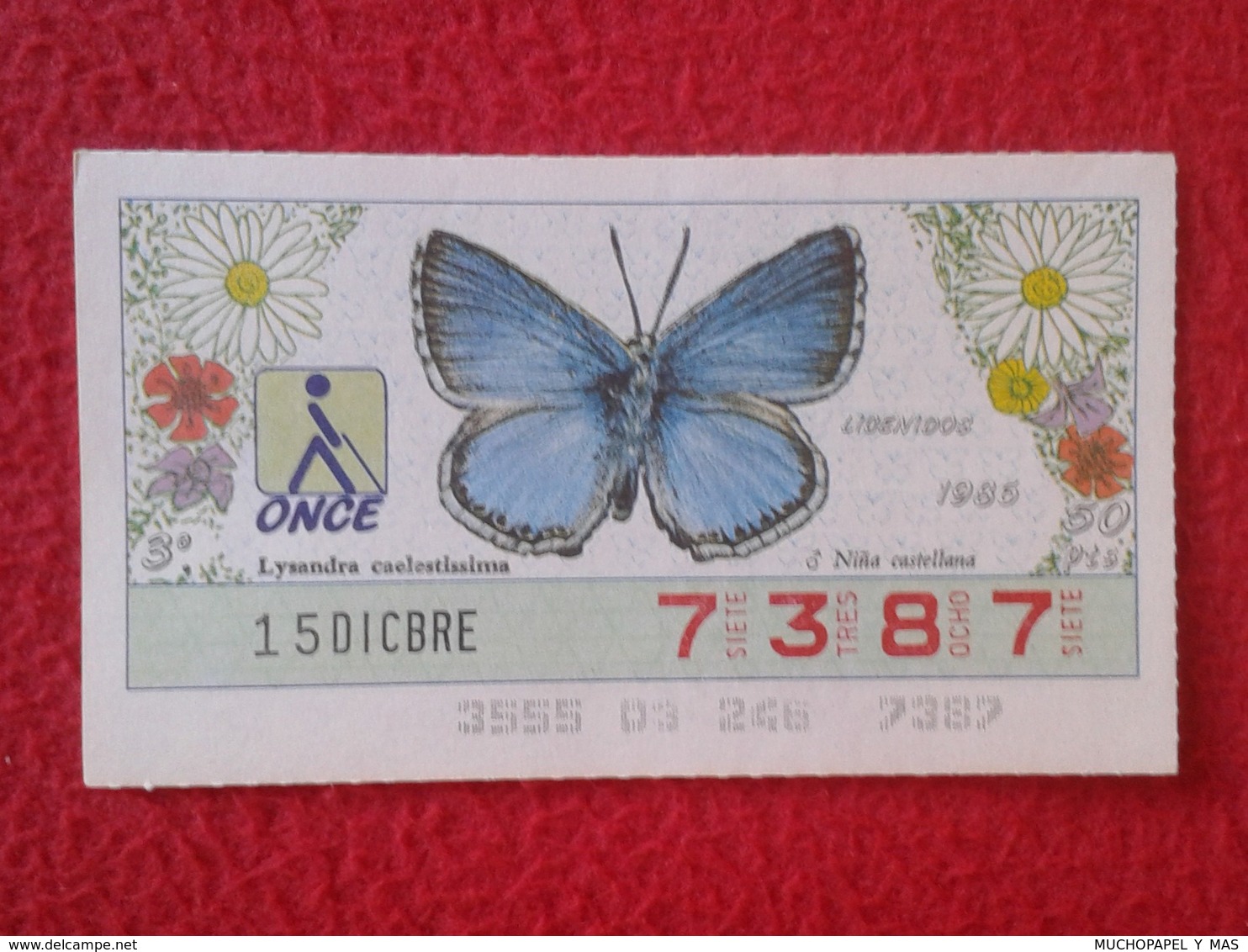 CUPÓN DE LA ONCE LOTERIE LOTTERY CIEGOS SPAIN LOTERÍA BLIND ESPAÑA ESPAGNE 1986 MARIPOSA BUTTERFLY PAPILLON LICENIDOS VE - Billetes De Lotería