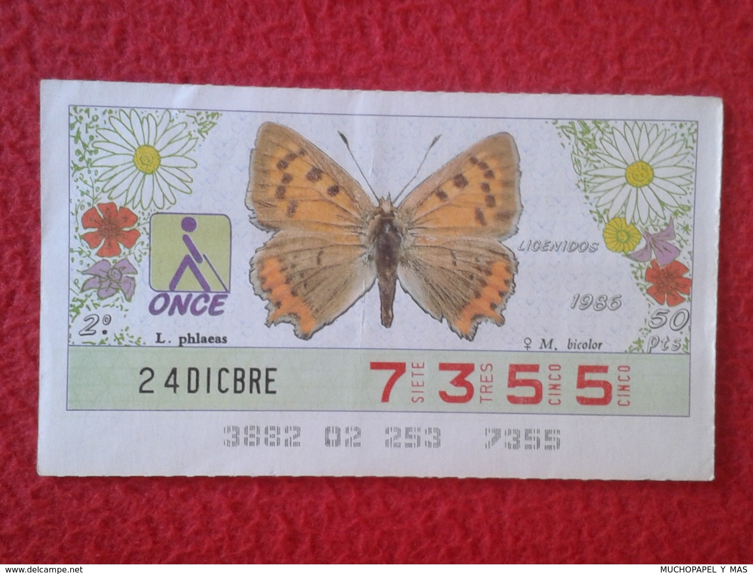 CUPÓN DE LA ONCE LOTERIE LOTTERY CIEGOS SPAIN LOTERÍA BLIND ESPAÑA ESPAGNE 1986 MARIPOSA BUTTERFLY PAPILLON LICENIDOS VE - Billetes De Lotería