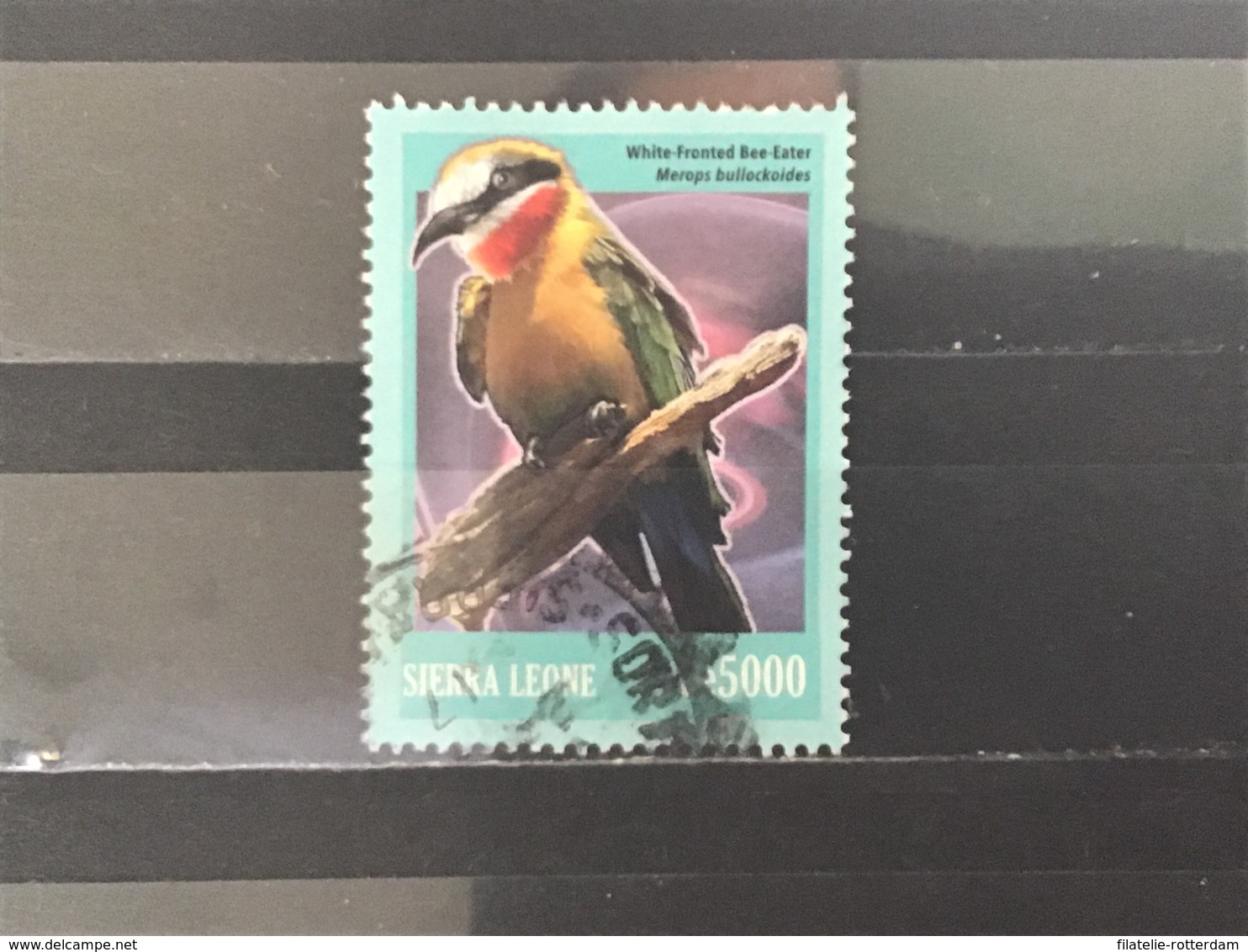 Sierra Leone - Vogels (5000) 2016 - Sierra Leone (1961-...)