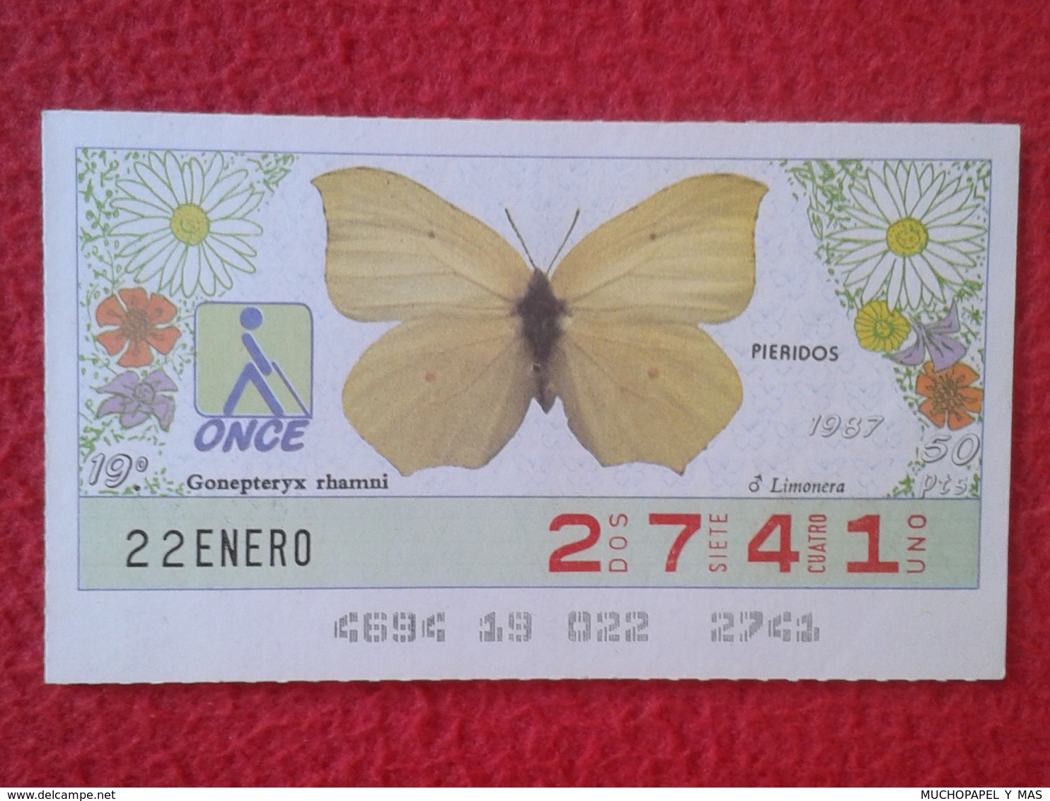 CUPÓN DE LA ONCE LOTERIE LOTTERY CIEGOS SPAIN LOTERÍA BLIND ESPAÑA ESPAGNE 1987 MARIPOSA BUTTERFLY PAPILLON PIERIDOS VER - Billetes De Lotería