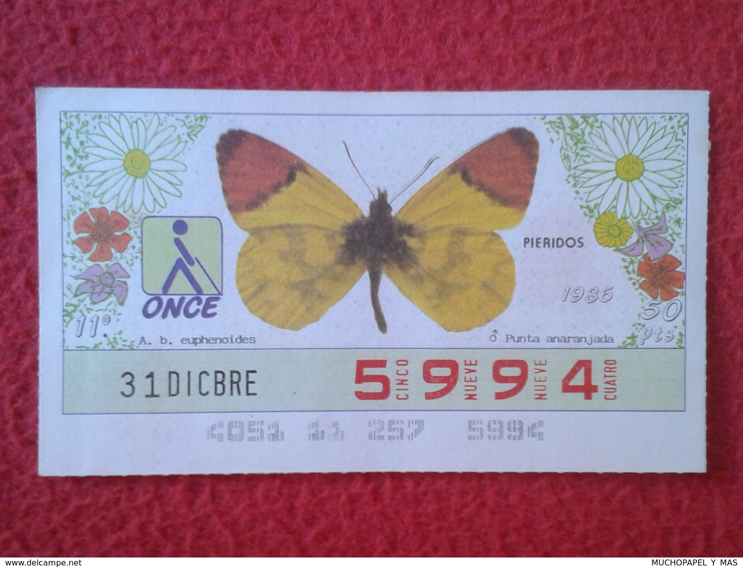 CUPÓN DE LA ONCE LOTERIE LOTTERY CIEGOS SPAIN LOTERÍA BLIND ESPAÑA ESPAGNE 1986 MARIPOSA BUTTERFLY PAPILLON PIERIDOS VER - Billetes De Lotería