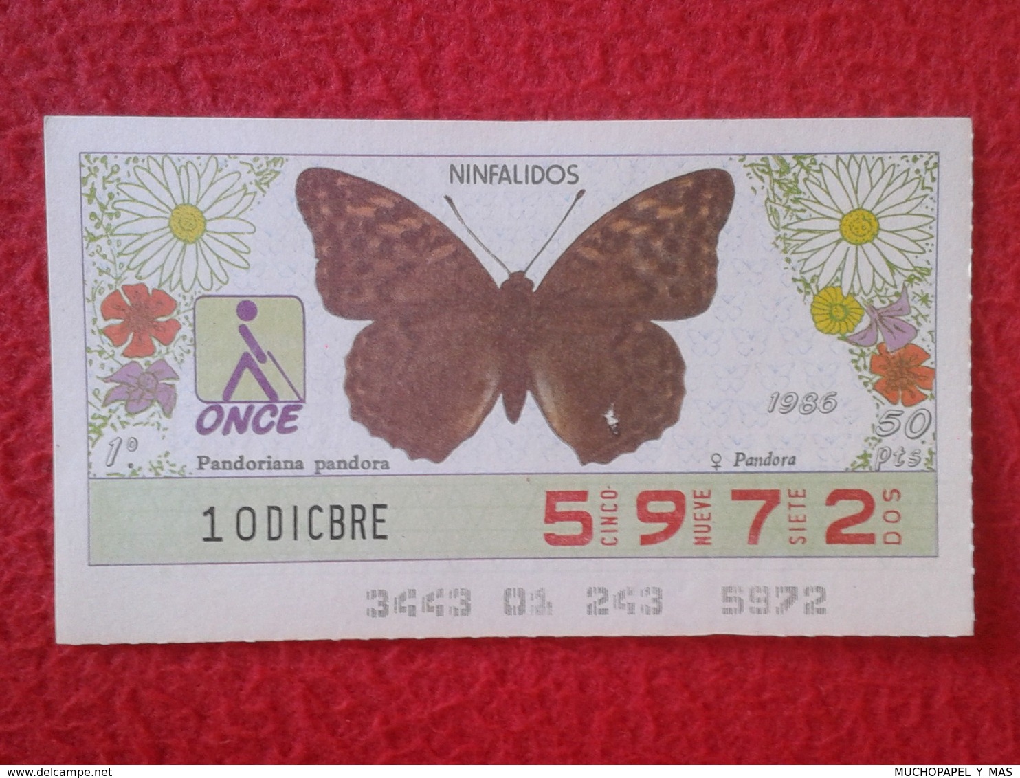 CUPÓN DE LA ONCE LOTERIE LOTTERY CIEGOS SPAIN LOTERÍA BLIND ESPAÑA ESPAGNE 1986 MARIPOSA BUTTERFLY PAPILLON NINFALIDOS - Billetes De Lotería