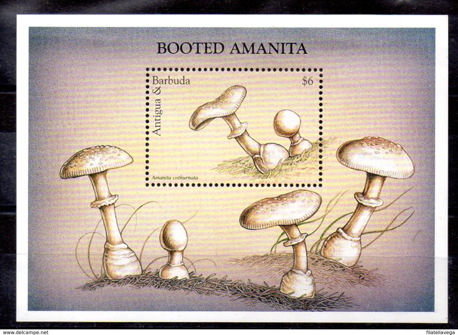 Hoja Bloque De Antigua Y Barbuda N ºYvert 372 ** SETAS (MUSHROOMS) - Antigua Y Barbuda (1981-...)