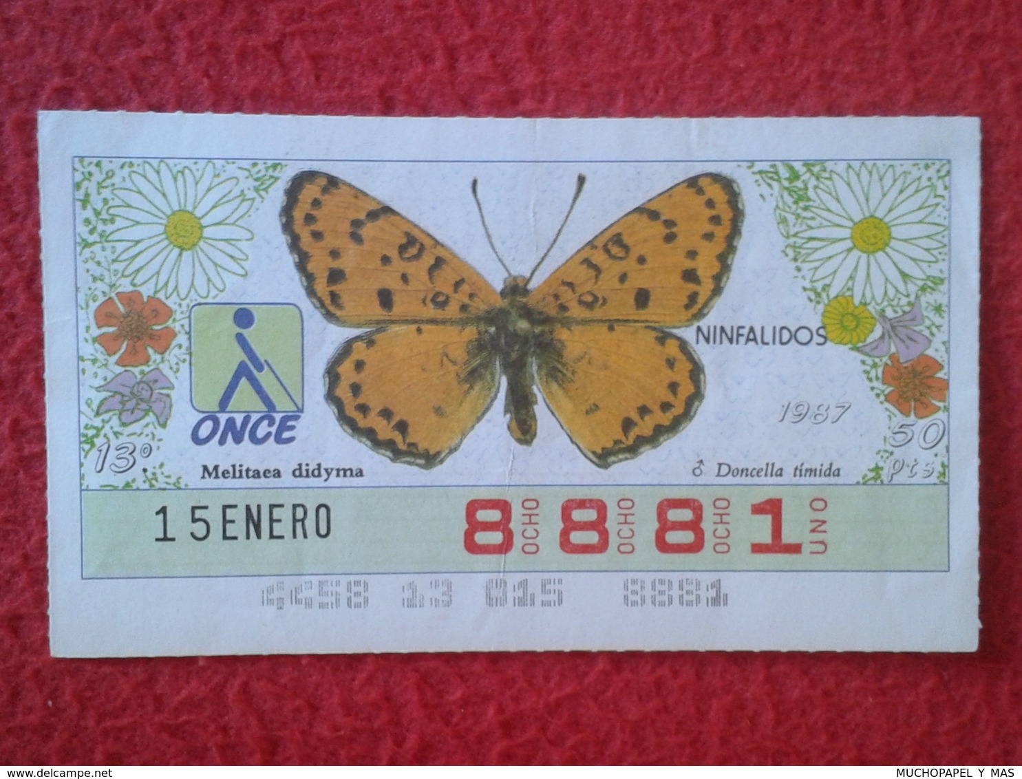 CUPÓN DE LA ONCE LOTERIE LOTTERY CIEGOS SPAIN LOTERÍA BLIND ESPAÑA ESPAGNE 1987 MARIPOSA BUTTERFLY PAPILLON NINFALIDOS - Billetes De Lotería