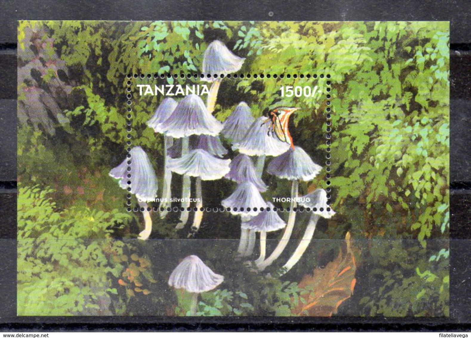 Hoja Bloque De Tanzania N ºYvert 378 ** SETAS (MUSHROOMS) - Tanzania (1964-...)