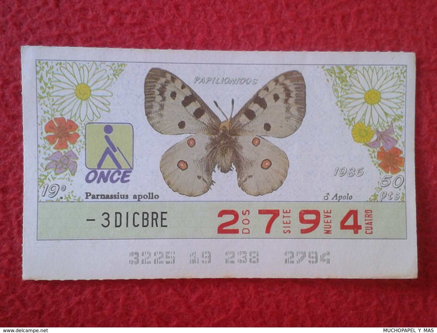 CUPÓN DE LA ONCE LOTERIE LOTTERY CIEGOS SPAIN LOTERÍA BLIND ESPAÑA ESPAGNE 1986 MARIPOSA BUTTERFLY PAPILLON PAPILIONIDOS - Billetes De Lotería