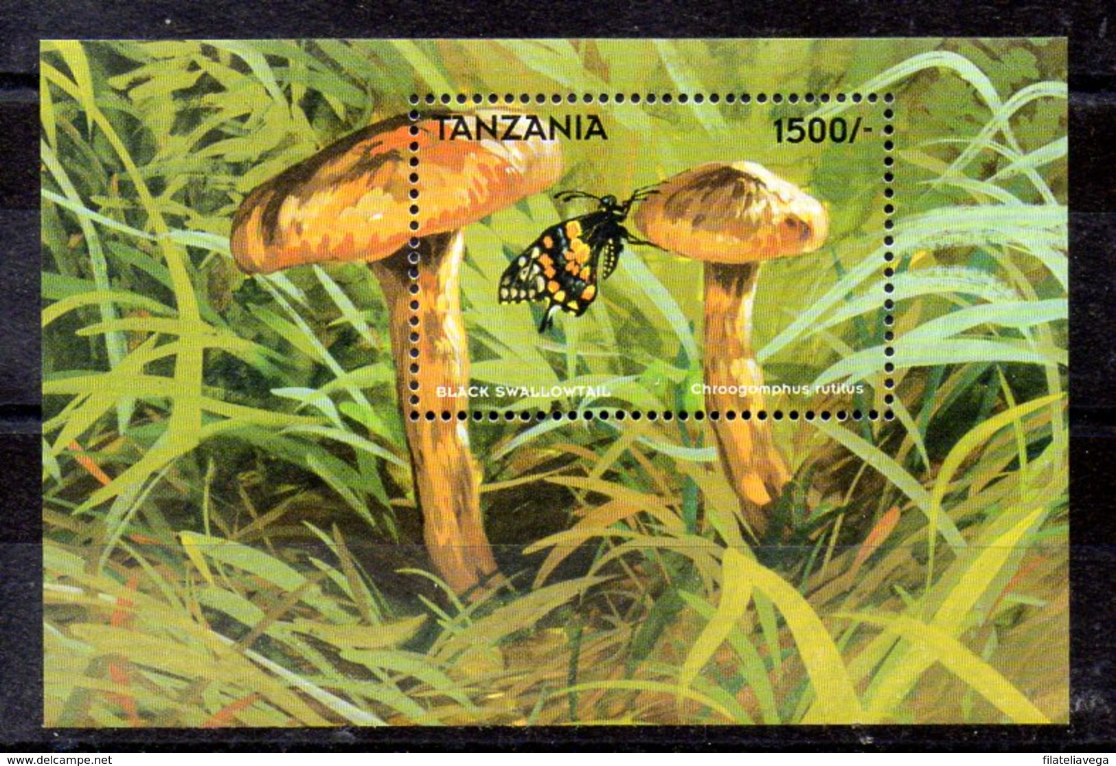 Hoja Bloque De Tanzania N ºMichel 415 ** SETAS (MUSHROOMS) - Tanzania (1964-...)