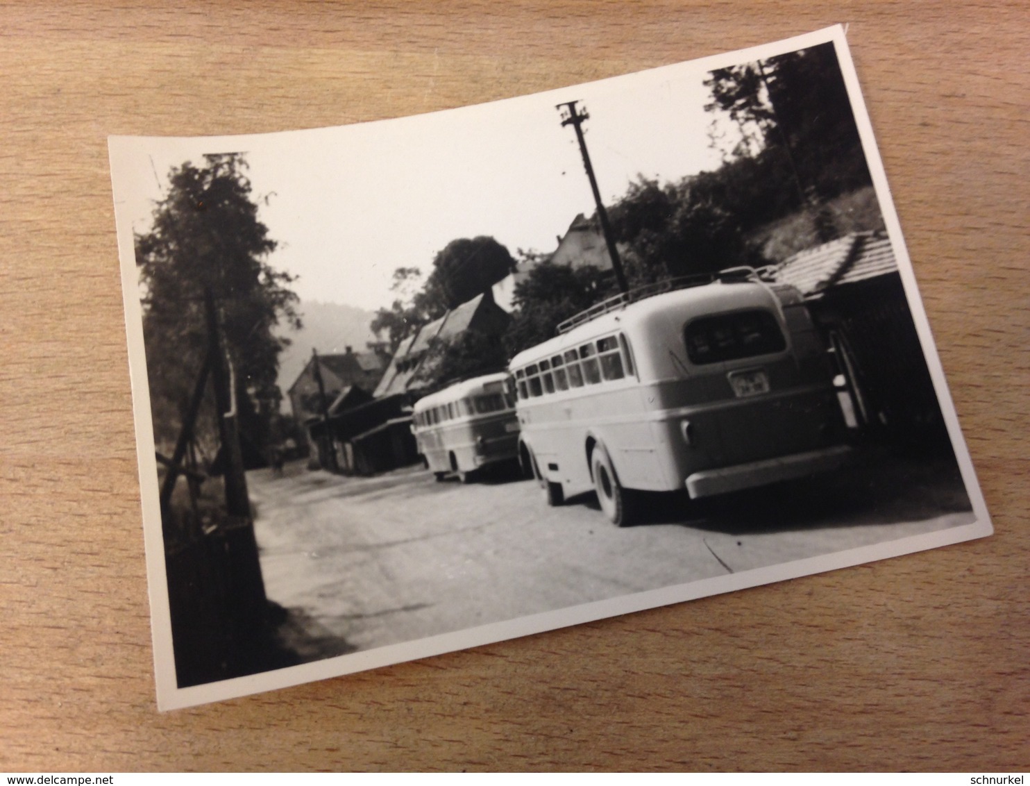 OLDTIMER-BUSSE - FOTO HERTERICH (?) - KARL-MARX-STADT - Automobiles