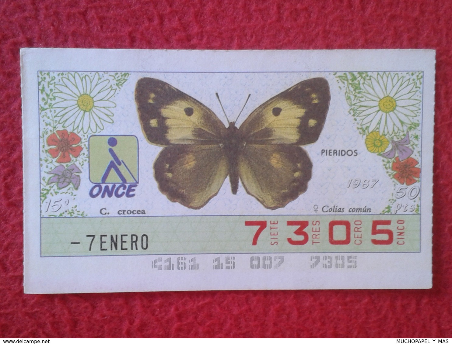 CUPÓN DE LA ONCE LOTERIE LOTTERY CIEGOS SPAIN LOTERÍA BLIND ESPAÑA ESPAGNE 1987 MARIPOSA BUTTERFLY PAPILLON PIERIDOS VER - Billetes De Lotería