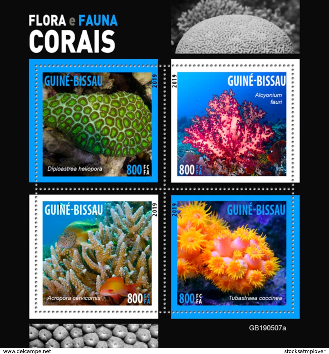 Ginea Bissau  2019 Fauna Corals  S201905 - Guinea-Bissau
