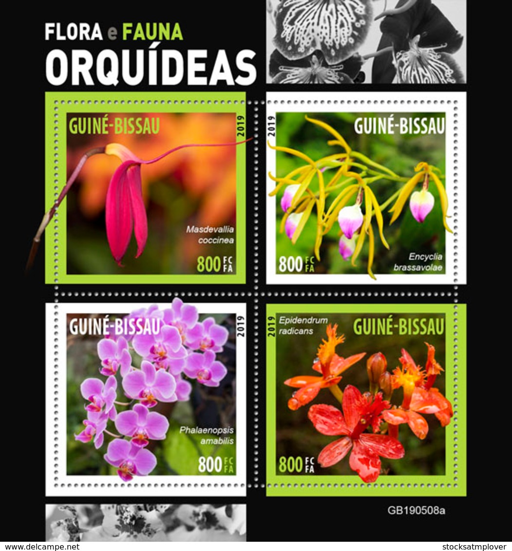 Guinea Bissau   2019 Orchids   S201905 - Guinea-Bissau