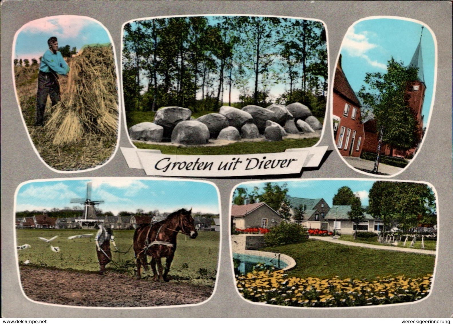 !  Modern Postcard Groeten Uit Diever, Landwirtschaft, Pferd, Horse, Agriculture - Andere & Zonder Classificatie