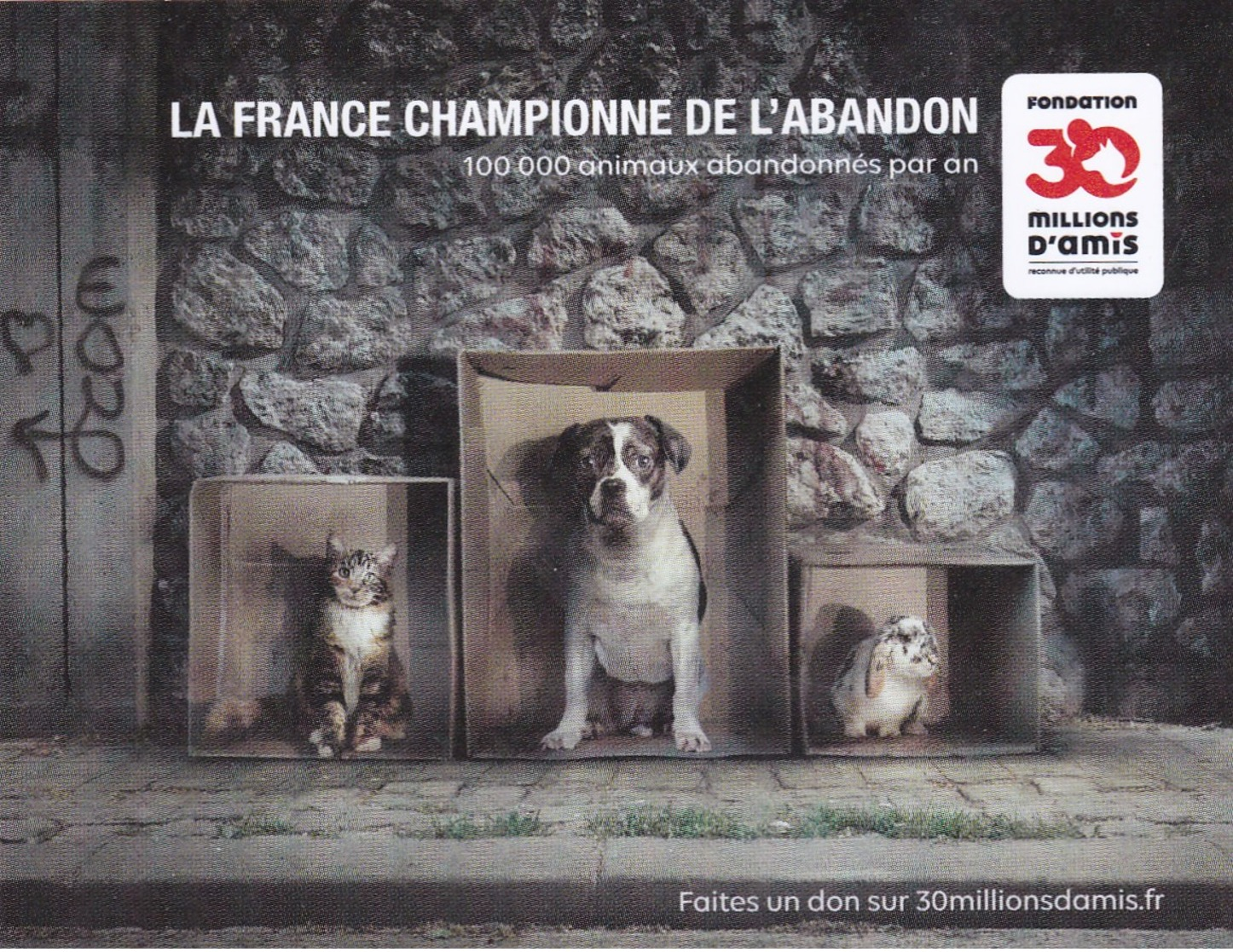 AUTOCOLLANT STICKER CHIEN 30 MILLIONS D'AMIS - Collections