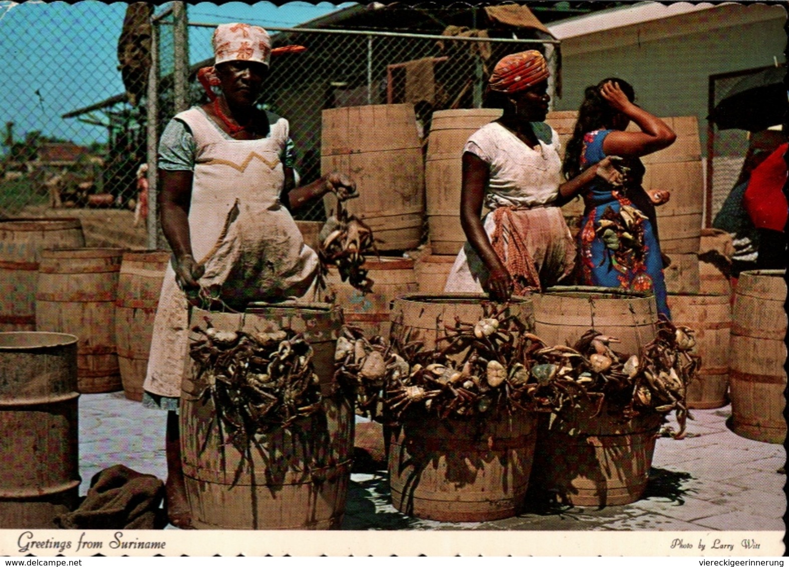 !  Modern Postcard Paramaribo, Surinam, Suriname, Market Woman Selling River Crabs, Krebse - Suriname