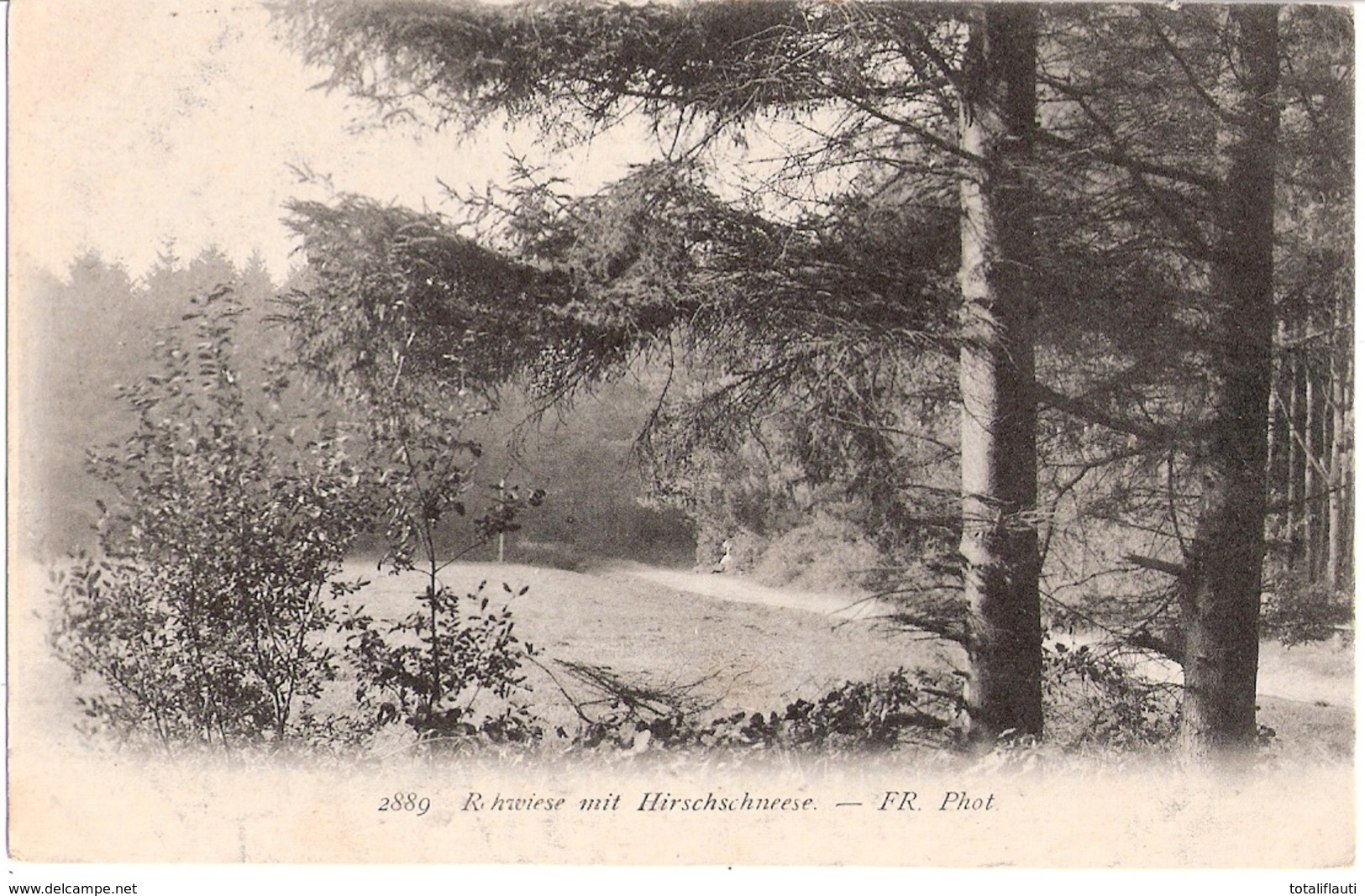 Berlin Niederschöneweide Bootshaus Rudergesellschaft WIKING Erbaut Anno 1897 Gelaufen 3.8.1922 Mit Infla Frankatur - Schoeneweide