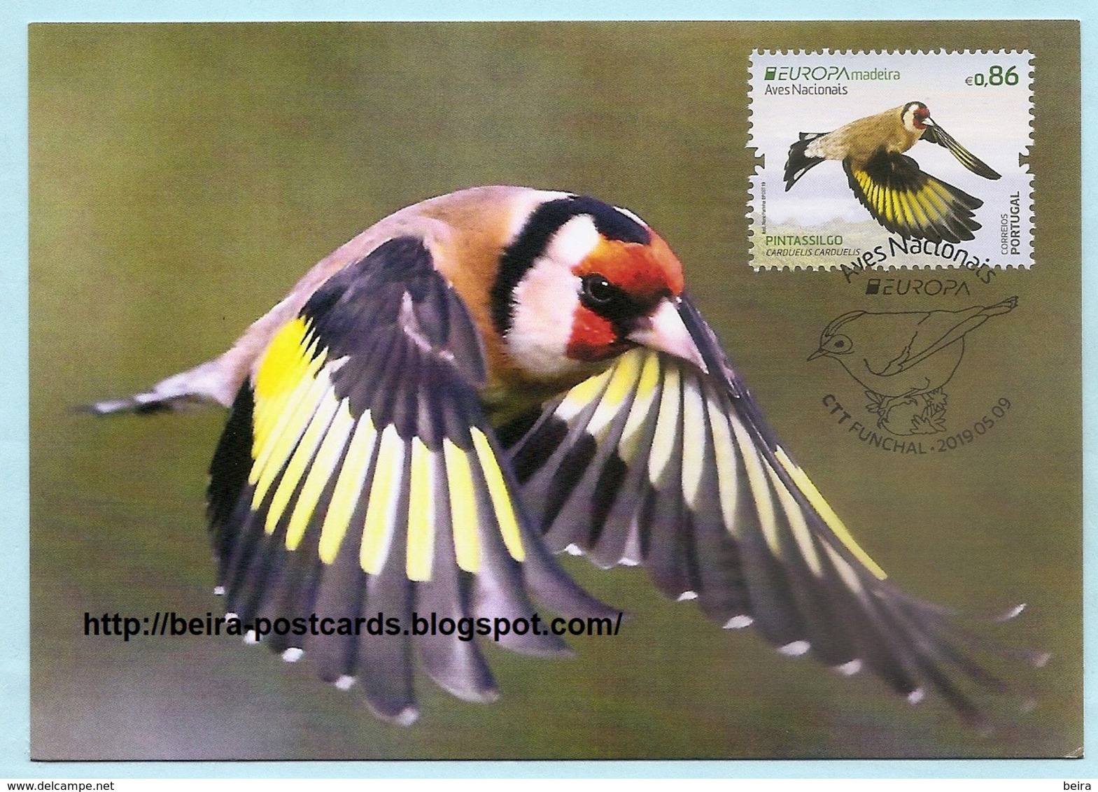 PORTUGAL - MADEIRA EUROPA CEPT NATIONAL BIRDS Carduelis Carduelis MAXIMUM CARD - Maximumkaarten