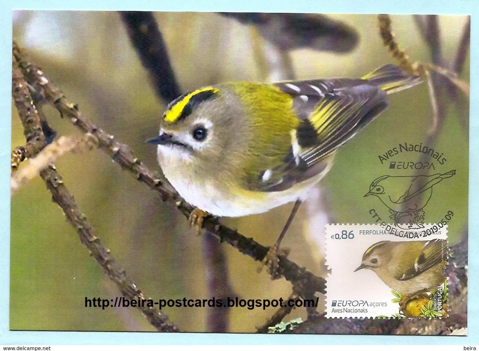 PORTUGAL - AZORES AÇORES EUROPA CEPT NATIONAL BIRDS Regulus Regulus Azoricus MAXIMUM CARD - Maximumkaarten