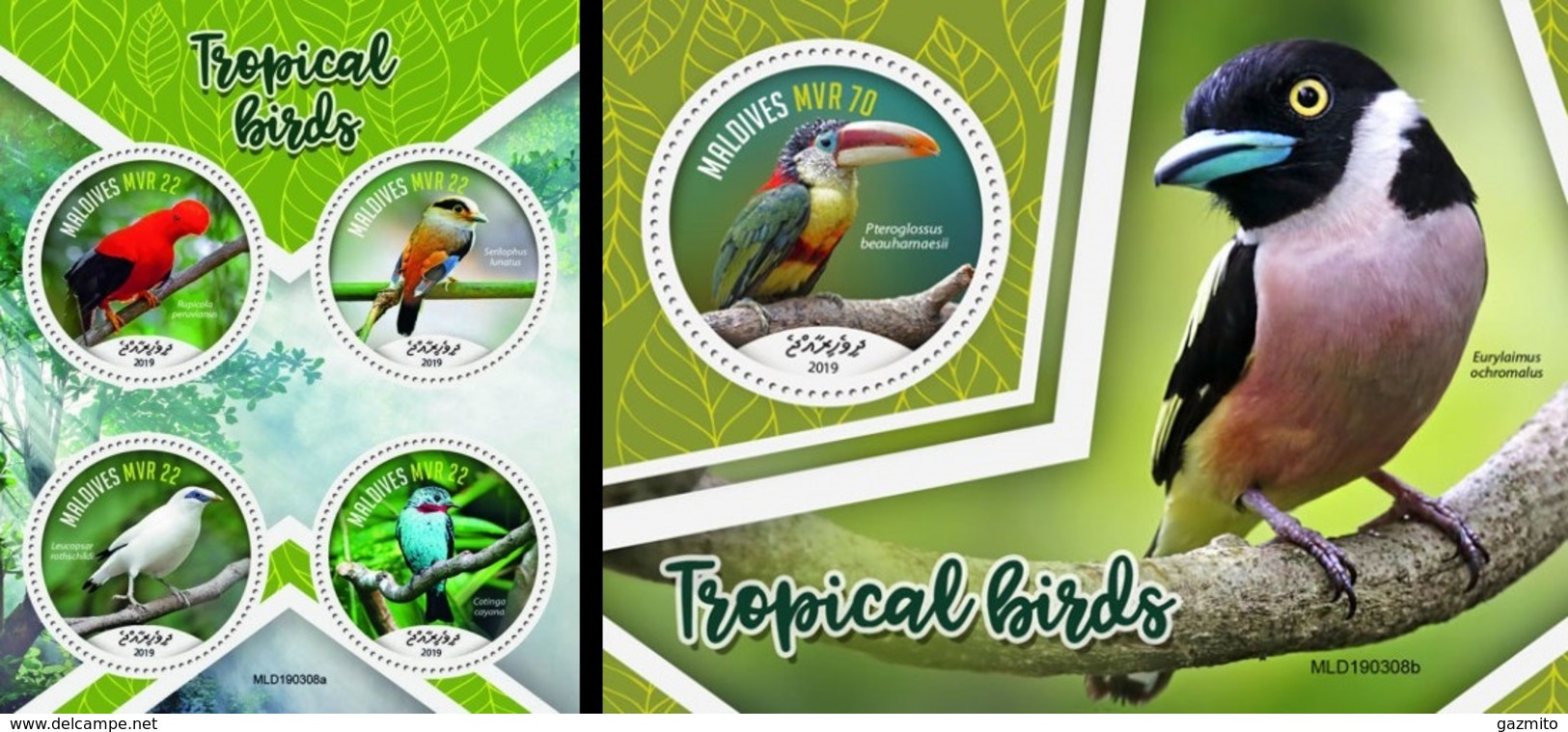 Maldives 2019, Animals, Tropical Birds, 4val In BF +BF - Perroquets & Tropicaux