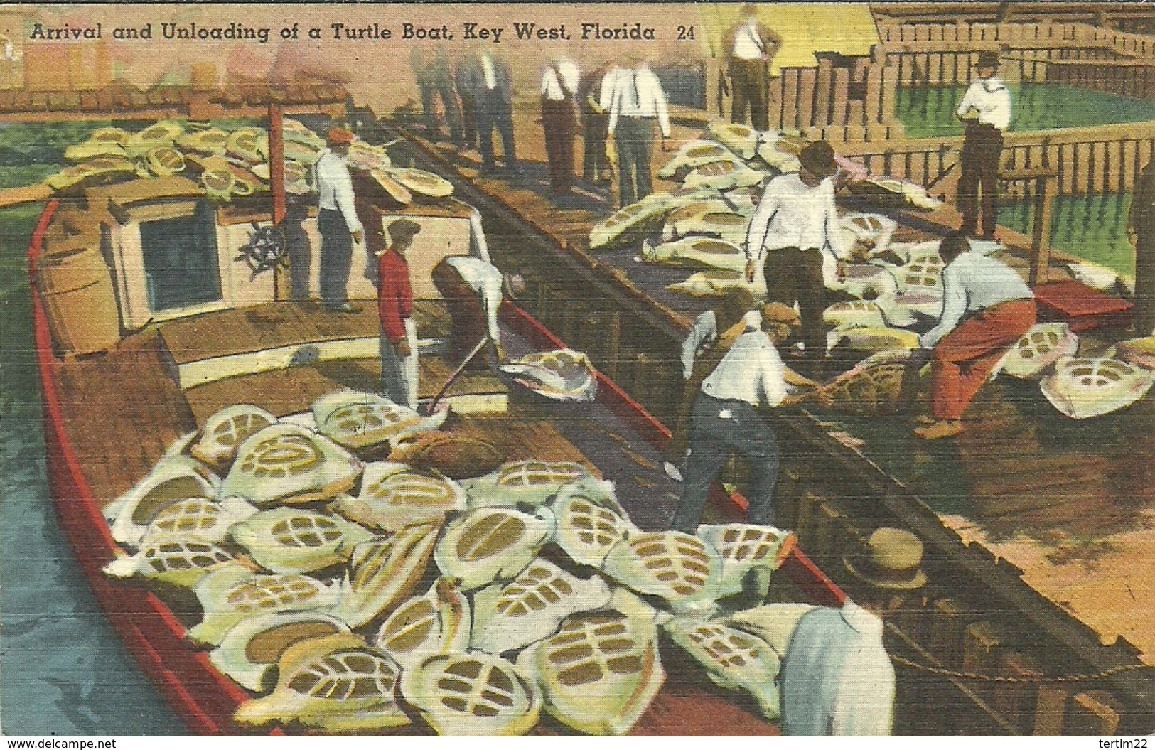 (KEY WEST )( FLORIDE  ) ( ETATS UNIS  ) ARRIVAL AND UNLOADING OF A TURTLE BOAT ( TORTUES ) - Key West & The Keys