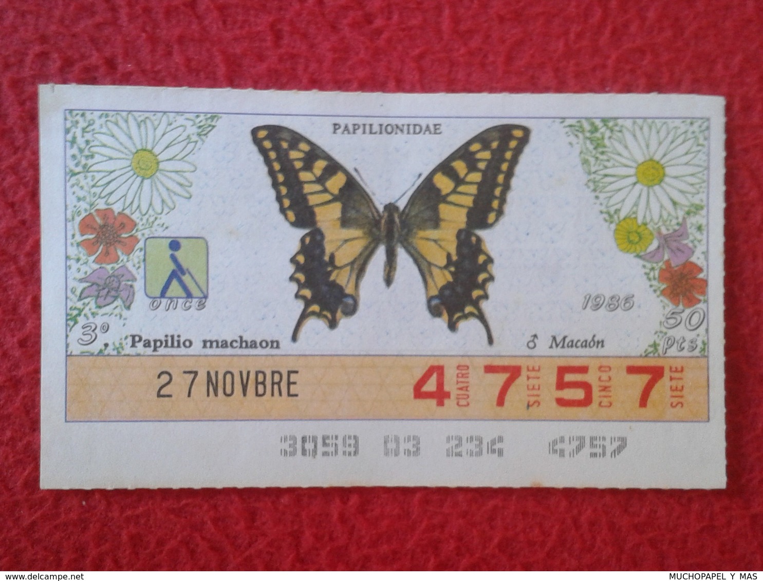 CUPÓN DE LA ONCE LOTERIE LOTTERY CIEGOS SPAIN LOTERÍA BLIND ESPAÑA ESPAGNE 1986 MARIPOSA BUTTERFLY PAPILLON PAPILIONIDAE - Billetes De Lotería