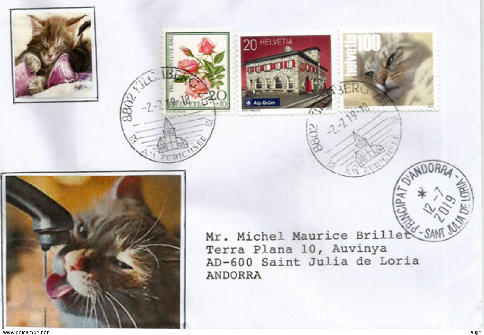 Portrait De Chat Domestique, Sur Lettre Suisse Adressée Andorra,avec Timbre à Date Arrivée - Hauskatzen